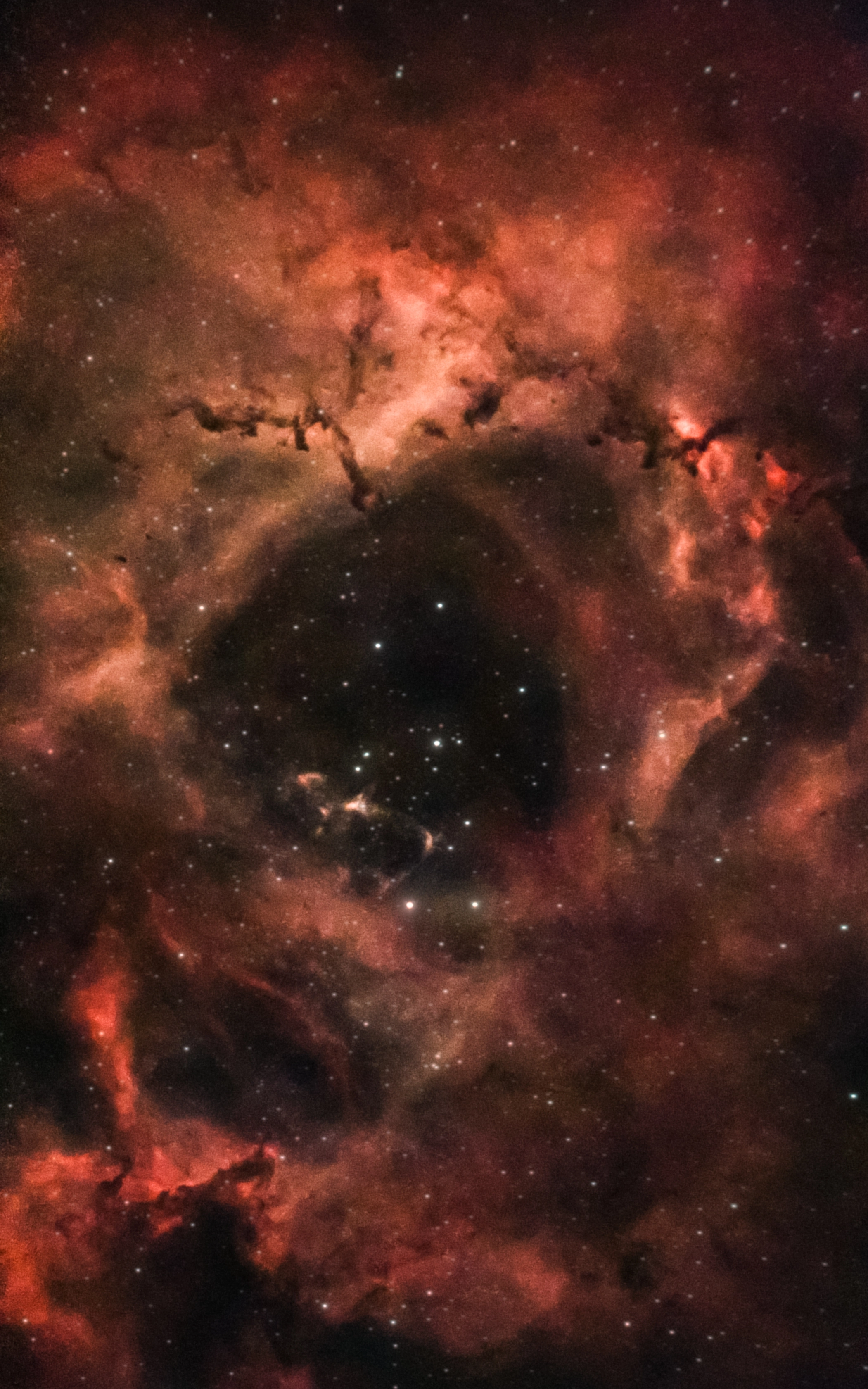 The Rosette Nebula as photographed by Nicholas